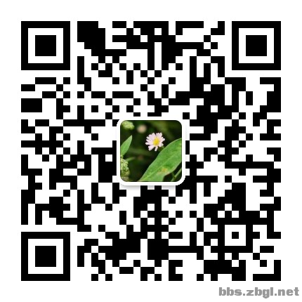 mmqrcode1618286222472.png